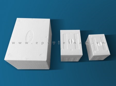 Thùng hải sản - Mốp Xốp EPS Việt Nam - Công Ty Cổ Phần Đầu Tư Bao Bì EPS Việt Nam