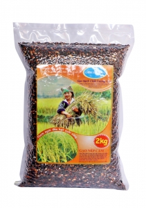 Gạo nếp cẩm - Gạo An Khang - Công Ty TNHH XNK Lương Thực An Khang