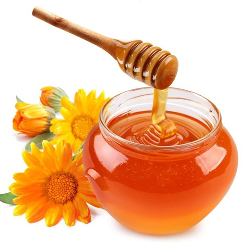 Mật Ong Sơn Lâm – Cơ Sở Sản Xuất Mật Ong Sơn Lâm