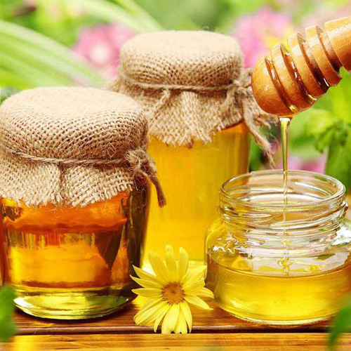 Mật Ong Sơn Lâm – Cơ Sở Sản Xuất Mật Ong Sơn Lâm