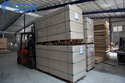 Đóng gói - SSR VINA - Công Ty TNHH SSR VINA