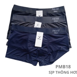 Sịp đùi thông hơi