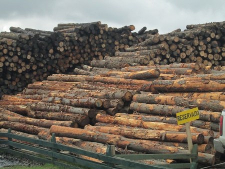 Gỗ Mỹ Đức – Công Ty TNHH Gỗ Mỹ Đức