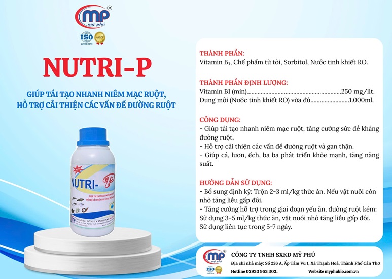NUTRI-P Tái tạo niêm mạc ruột