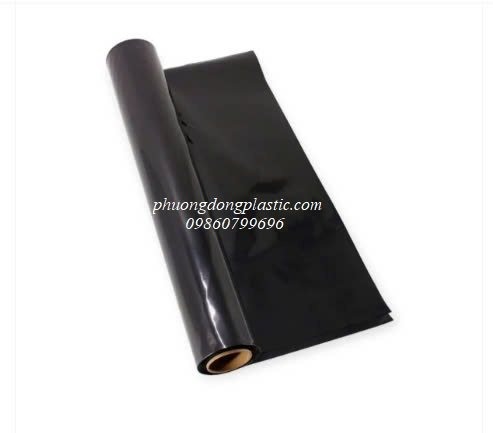 Túi màng Carbon
