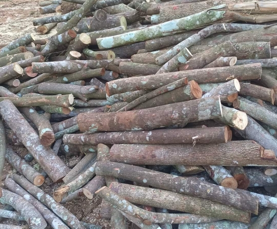 Củi cây, củi tạp