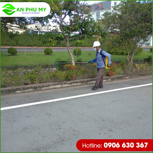 Dịch vụ cây xanh định kỳ