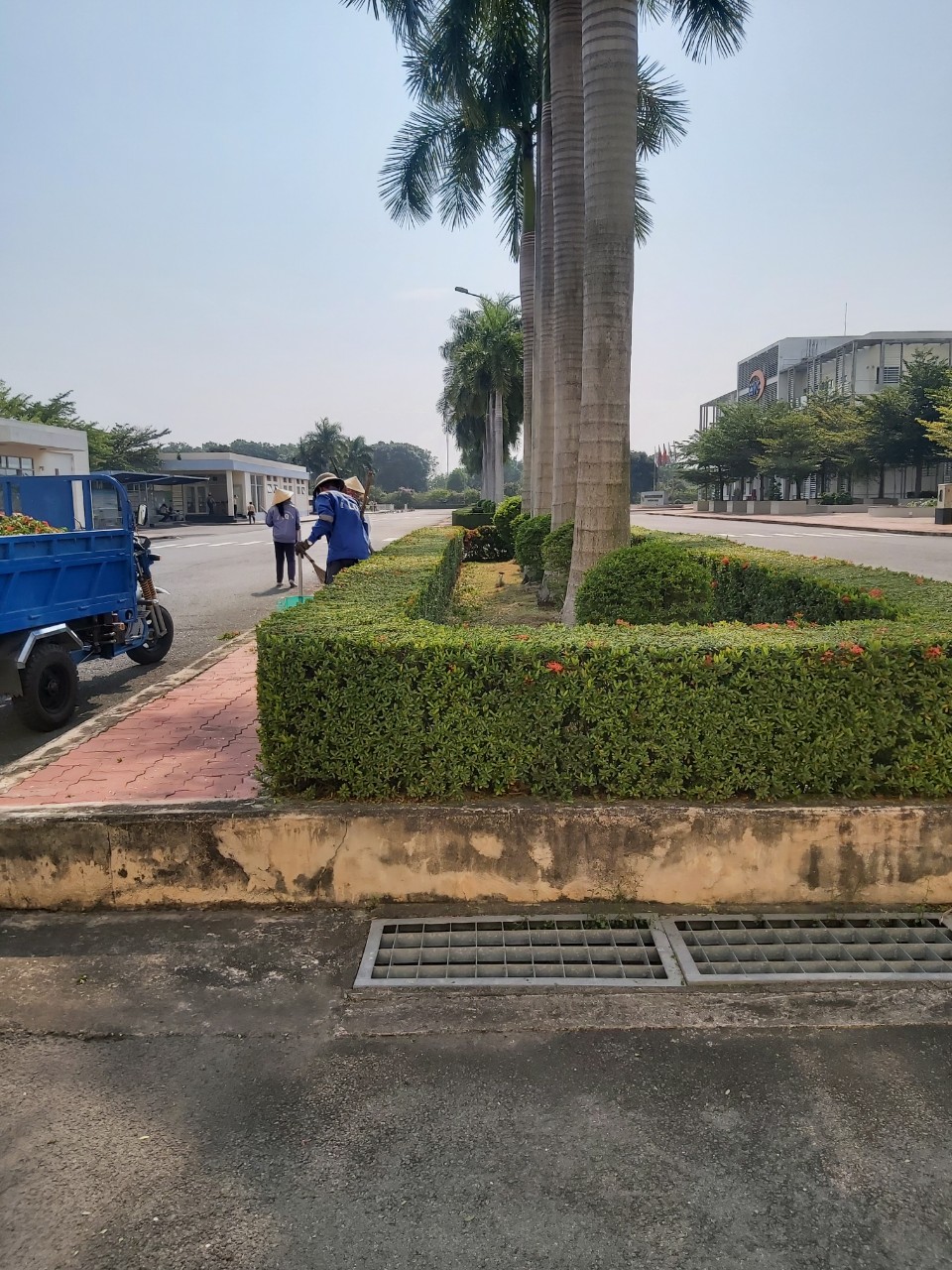 Dịch vụ chăm sóc cây xanh