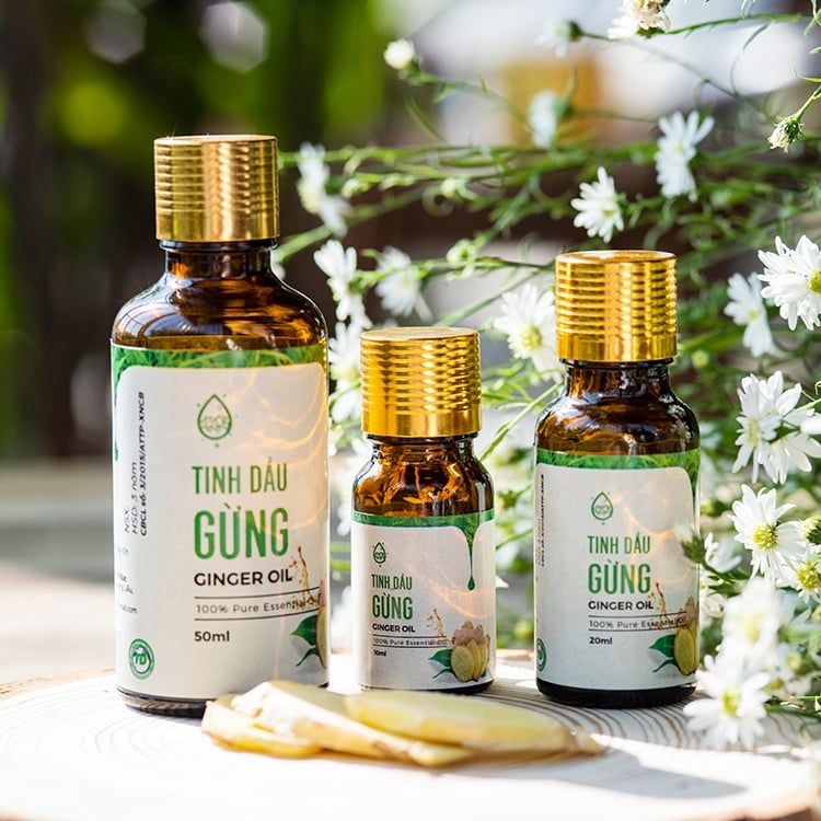 Tinh dầu gừng - Gừng Trí Đức - Công Ty TNHH Xuất Nhập Khẩu Trí Đức