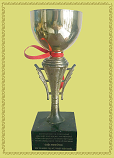 Cúp VIFOTEC 2009 - Công Ty TNHH Giải Pháp Và Công Nghệ Sao Việt