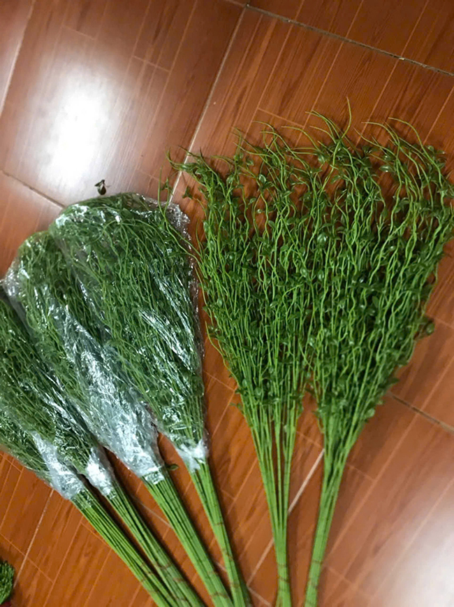 Cỏ giả