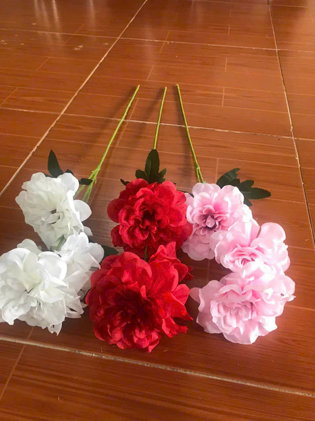 Cúc thược dược