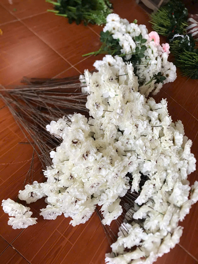 Cúc trắng