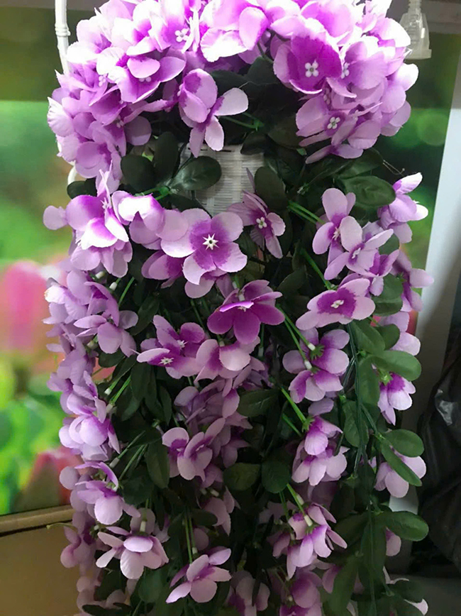 Hoa giả