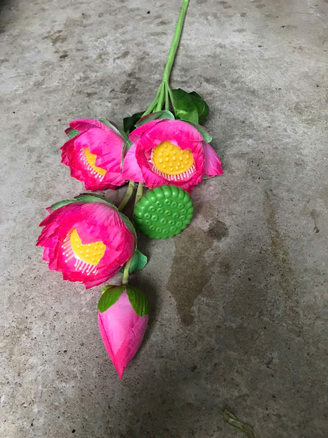 Hoa sen