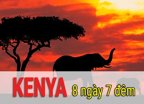 Tour Du Lịch Kenya 8 Ngày 7 Đêm - Du Lịch Handetour - Công Ty Cổ Phần Du Lịch Handetour