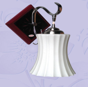 Đèn tường thông dụng Model - C529 - Công Ty TNHH Thiết Bị Chiếu Sáng Thanh Thiên
