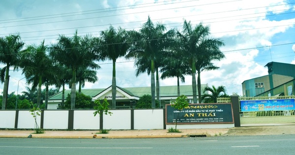 Công ty An Thái