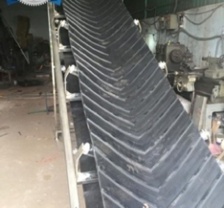 Băng tải gân Max Elev