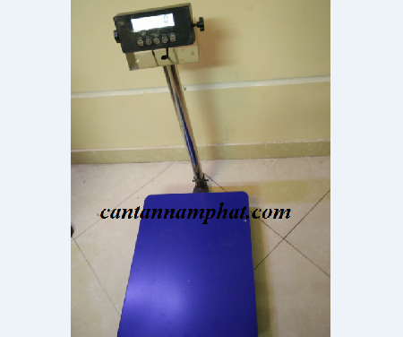 Cân Điện Tử Tân Nam Phát – Công Ty TNHH SX Công Nghệ Tân Nam Phát