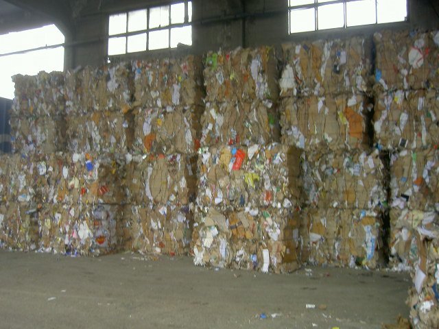 phế liệu giấy OCC - Văn Phòng Đại Diện Thueringen Recycling GmbH