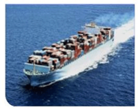 Vận tải đường biển - Hải Minh Logistics Co.,Ltd - Công Ty TNHH Tiếp Vận Quốc Tế Hải Minh