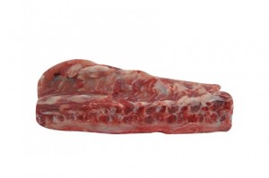Xương sống