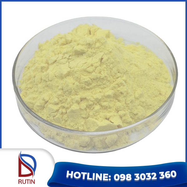 Bột rutin