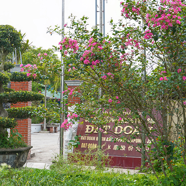 Cổng nhà máy