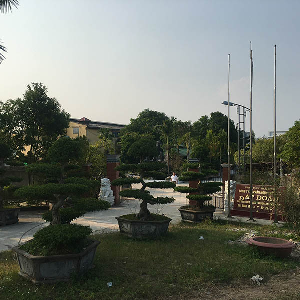 Cổng nhà máy