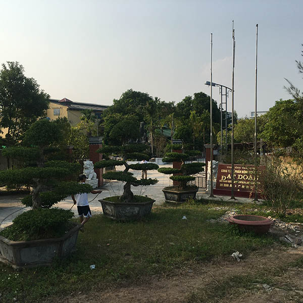 Cổng nhà máy