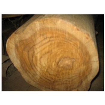 Gỗ teak, gỗ teak nguyên liệu