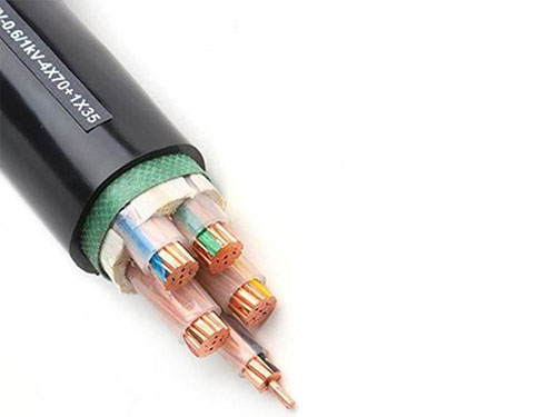 Cáp điện CU-XLPE-PVC (CXV 3+1)