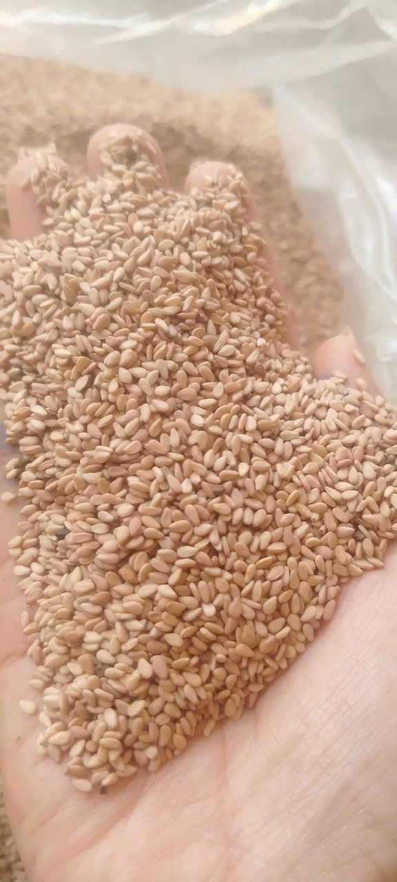 Mè trắng - Công Ty Cổ Phần Xuân Xuân