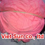 Vải lau gỗ 2 lớp - Vải Lau Công Nghiệp Mặt Trời Việt - Công Ty TNHH TM DV Thu Mua Phế Liệu Xây Dựng Mặt Trời Việt