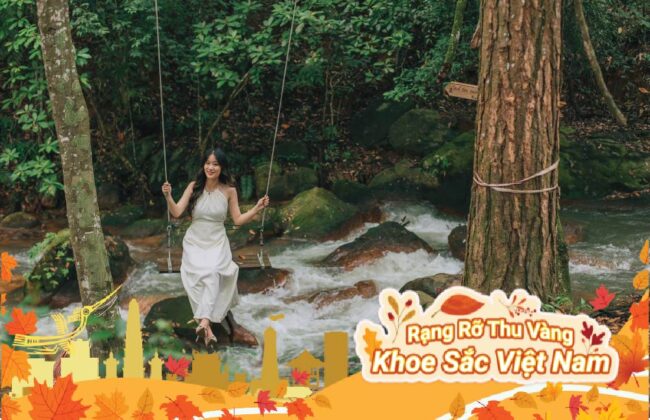 Tour du lịch