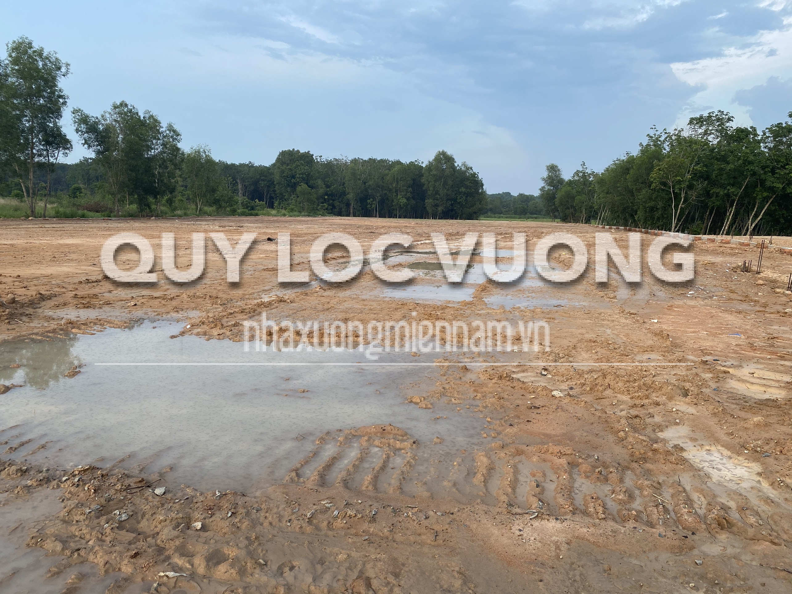 Cho thuê đất trồng 8.000m2 ở Tân Định, Bến Cát, Bình Dương - Quý Lộc Vượng - Công Ty TNHH MTV Quý Lộc Vượng
