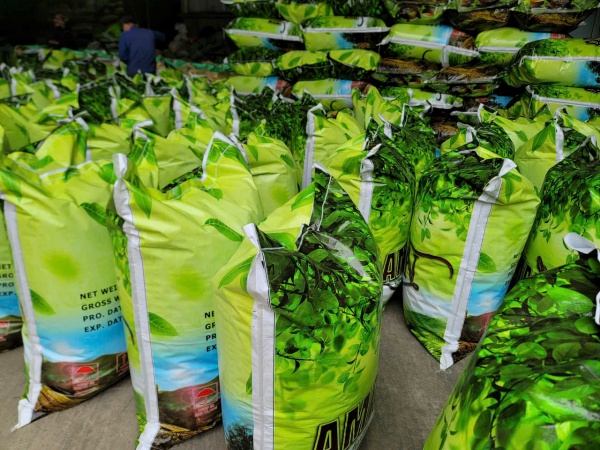 Trà xanh - Công Ty TNHH Một Thành Viên Nguồn Sao Xanh