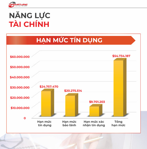 Năng lực tài chính