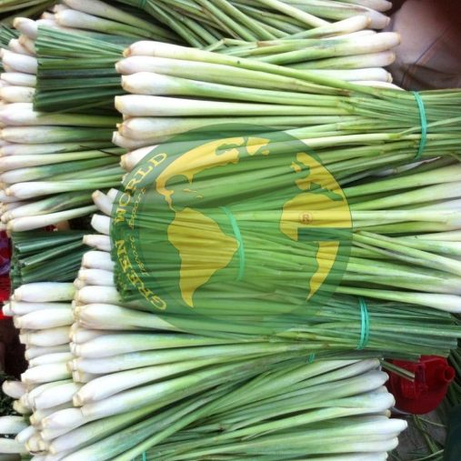 Sả tươi