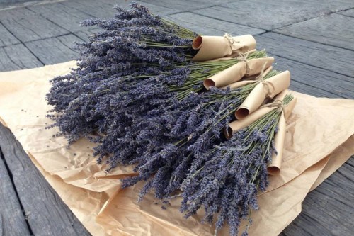 Hoa khô Lavender - Hương Liệu Pháp HLP - Công Ty TNHH Hương Liệu Pháp HLP