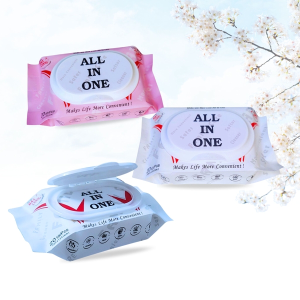 Khăn ướt gói nhỏ All In One 20 tờ