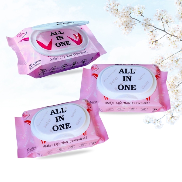 Khăn ướt gói nhỏ All In One 20 tờ