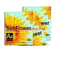 Giấy bìa sun flower A4 - Công Ty TNHH Thương Mại Sản Xuất Đỗ Gia Phát