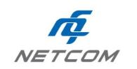 Logo công ty - Công Ty Cổ Phần Đầu Tư Xuất Nhập Khẩu Thương Mại Và Dịch Vụ Netcom
