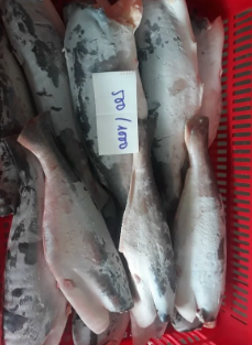 thủy sản - Công Ty TNHH Sản Xuất Thương Mại Dịch Vụ Giá Trị Mới