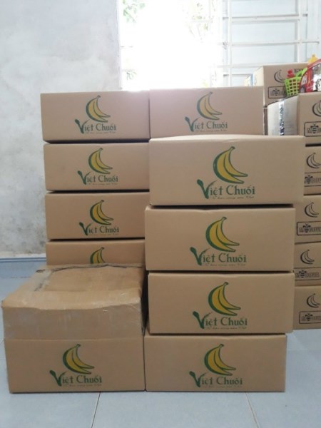 Hình ảnh công ty Việt Chuối