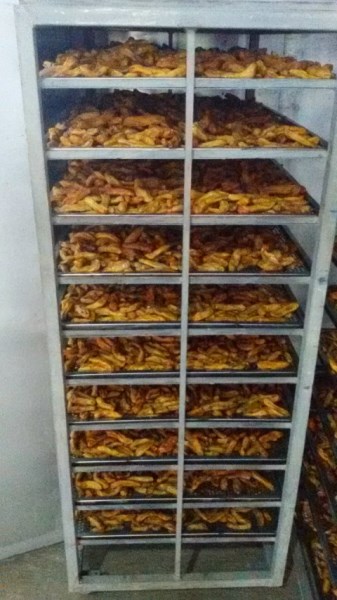 Hình ảnh công ty Việt Chuối