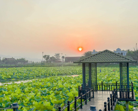 Tour du lịch - Công Ty TNHH Du Lịch & Truyền Thông Hoàng Phát