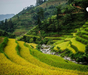 Tour du lịch - Công Ty TNHH Du Lịch & Truyền Thông Hoàng Phát